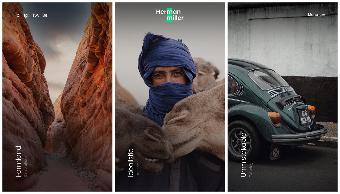 LensArt Photography Portfolio